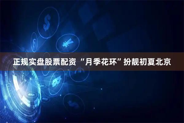 正规实盘股票配资 “月季花环”扮靓初夏北京