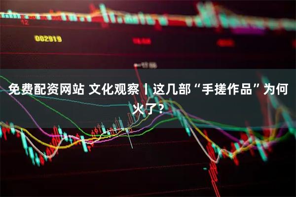免费配资网站 文化观察丨这几部“手搓作品”为何火了？