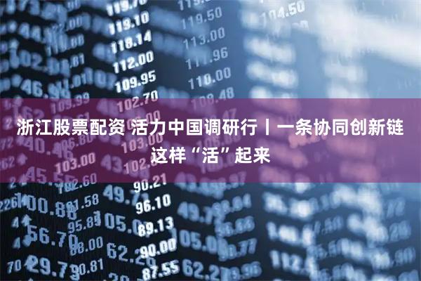 浙江股票配资 活力中国调研行丨一条协同创新链这样“活”起来